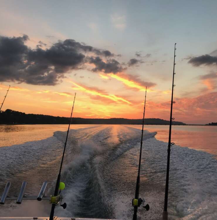 Experienced Fisherman